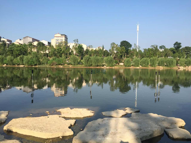 河道治理項(xiàng)目